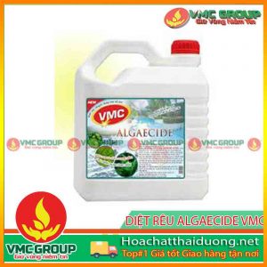 vmc-algaecide-diet-tao-rong-reu-chuyen-dung-cho-ho-boi-hchd
