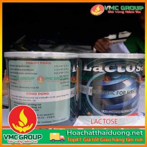 men-tron-ho-tro-duong-ruot-lactose-hchd