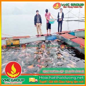 cac-bien-phap-huu-hieu-phong-ngua-benh-o-ca-bien-nuoi-long-hchd