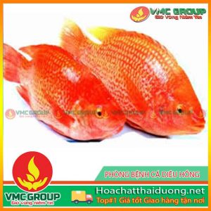 cach-phong-tri-benh-cho-ca-dieu-hong-hchd