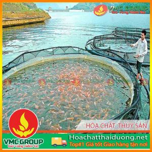 danh-muc-ky-thuat-nuoi-thuy-san-hchd