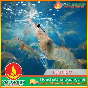 phong-benh-tom-nuoi-cuoi-nam-2014-hchd