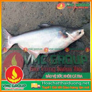 mot-so-benh-thuong-gap-va-cach-phong-tri-khi-nuoi-ca-tra-va-ca-basa-trong-be-hchd