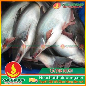 nguyen-nhan-va-bien-phap-phong-tri-chung-vi-khuan-edwardsiella-hchd