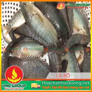 tac-nhan-gay-benh-den-than-o-ca-ro-dong-nuoi-tham-canh-hchd