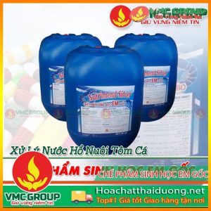 che-pham-sinh-hoc-em-goc-thuy-san-hchd